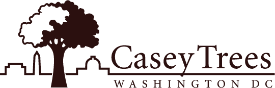 Casey Trees logo