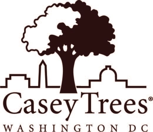 Casey Trees logo